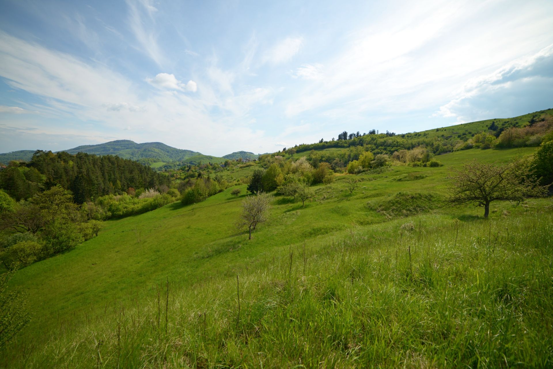 PREDANÉ! Pozemok, Štiavnické Bane